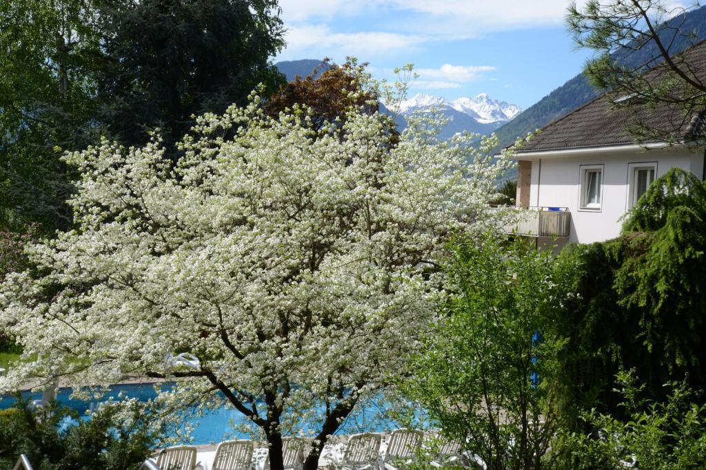 Hotel Tannerhof Merano Eksteriør billede